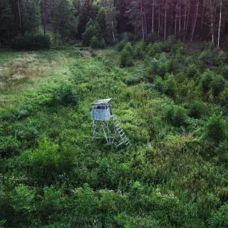 Wilde Zeiten - 26. Februar